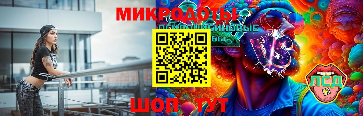 Шадринск  Псилоцибиновые грибы Psilocybine cubensis  Вход с VPN  Псилоцибиновые грибы Psilocybe 